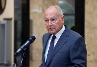 أبو الغيط: الفلسطينيون يتعرضون لواحدة من أبشع حروب الإبادة في التاريخ